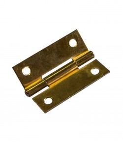 Steel hinges, Brass plated, LT76905