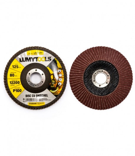 Set 2 discuri cu şmirghel LT07995